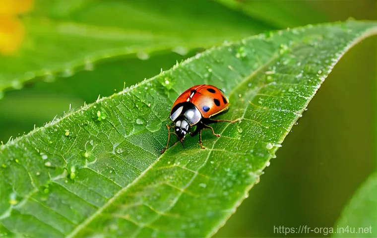 유기농업관리사 실무 교육 후기 - **Prompt 1: The Soul of Organic Farming – Nurturing the Earth**
    "A close-up, warm-toned photogra...
